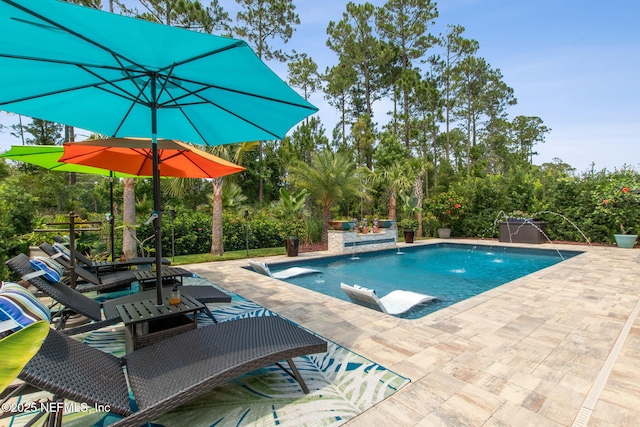 95196 Golden Glow Dr, Fernandina Beach, FL 32034 - outdoor pool with a patio and view of wooded area