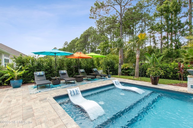 95196 Golden Glow Dr, Fernandina Beach, FL 32034 - swimming pool featuring a patio