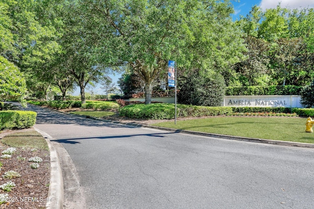 95196 Golden Glow Dr, Fernandina Beach, FL 32034 - view of asphalt road with curbs