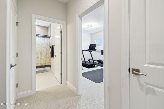 62 Windmill Palm Trl, Ponte Vedra, FL 32081 - photo 47