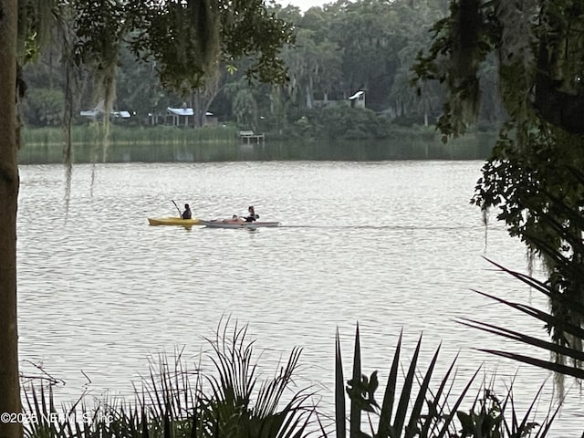 2664 SW 14th Dr Unit 325, Gainesville, FL 32608 - water view