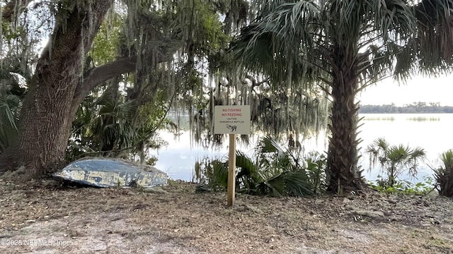 2664 SW 14th Dr Unit 325, Gainesville, FL 32608 - water view