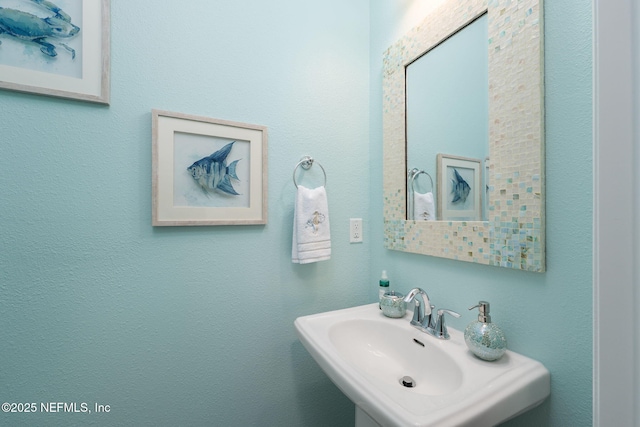 30 Yeti Ct, Saint Augustine, FL 32092 - bathroom with a sink