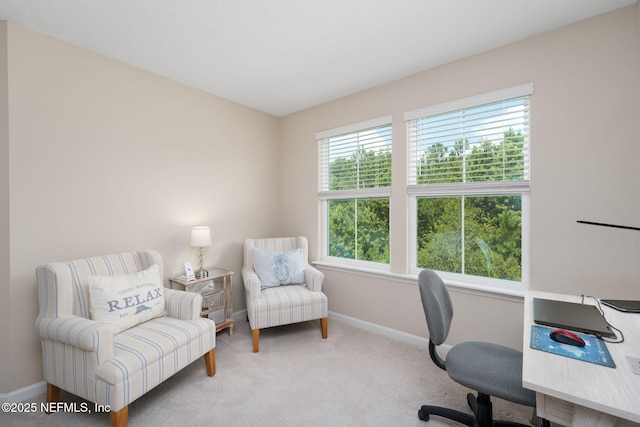 30 Yeti Ct, Saint Augustine, FL 32092 - carpeted office with baseboards