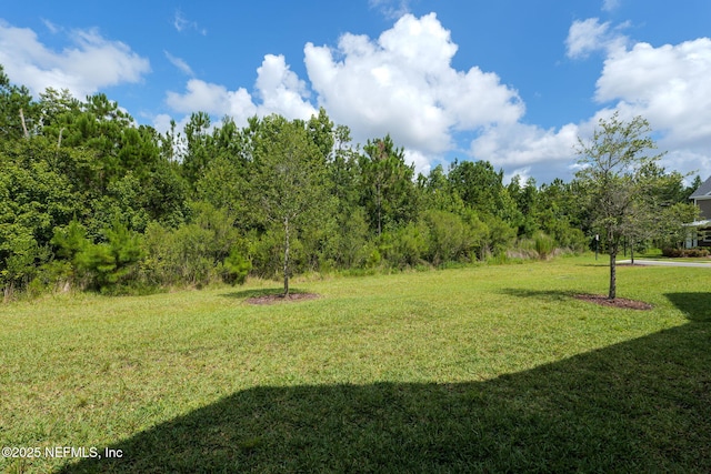 30 Yeti Ct, Saint Augustine, FL 32092 - view of grassy yard