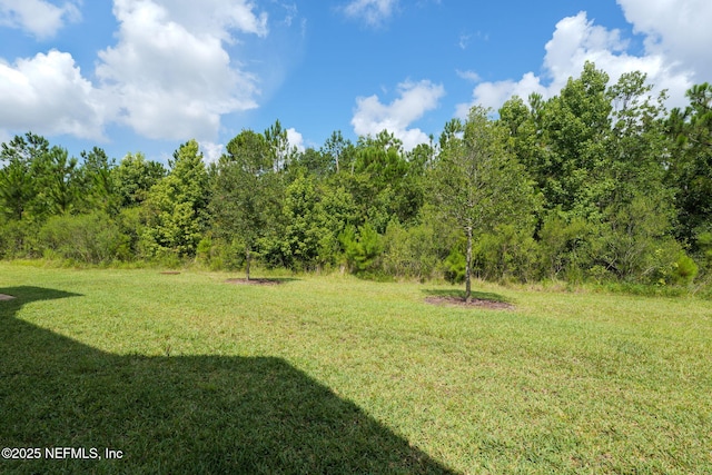 30 Yeti Ct, Saint Augustine, FL 32092 - view of green lawn with a view of trees
