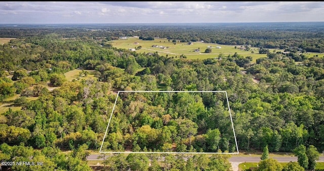 139 Sleepy Hollow Dr, Interlachen, FL 32148 - photo 5