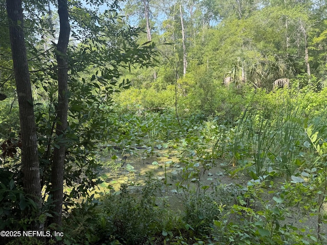 139 Sleepy Hollow Dr, Interlachen, FL 32148 - photo 8