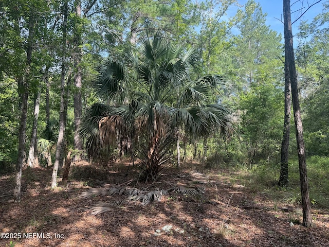 139 Sleepy Hollow Dr, Interlachen, FL 32148 - photo 6