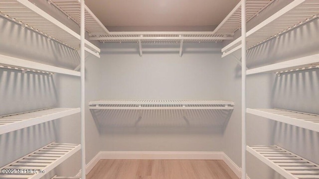 99 Sloganeer Trl, Palm Coast, FL 32164 - spacious closet with wood finished floors