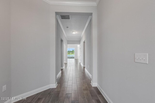 443 Sweet Mango Trl, Saint Augustine, FL 32086 - photo 19
