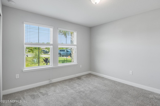 443 Sweet Mango Trl, Saint Augustine, FL 32086 - photo 39