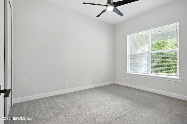 480 Loosestrife Way, Saint Augustine, FL 32095 - photo 33