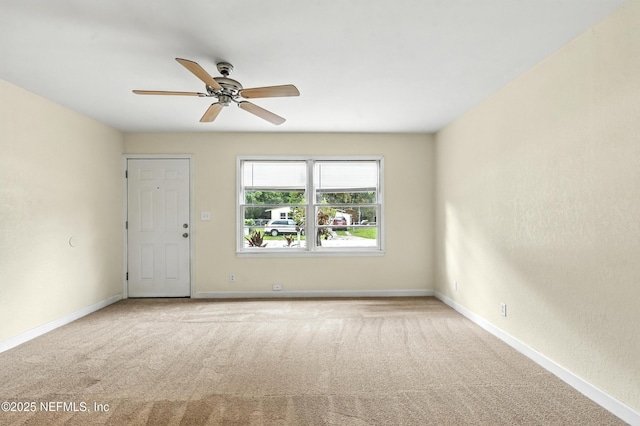 5546 Green Forest Dr, Jacksonville, FL 32244 - photo 8