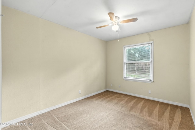 5546 Green Forest Dr, Jacksonville, FL 32244 - photo 12