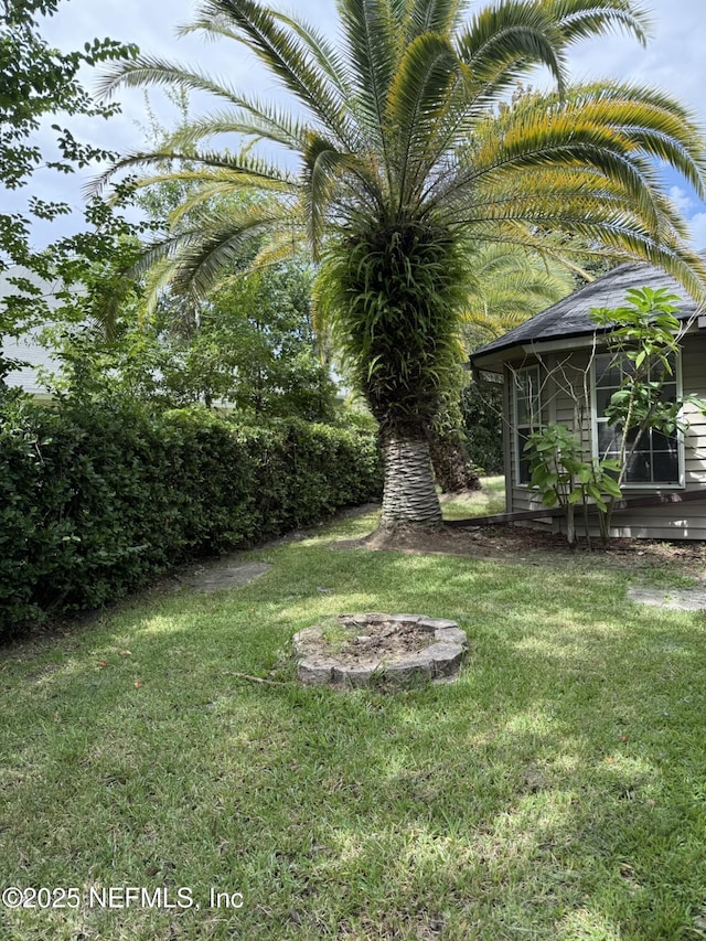 1032 Durbin Parke Dr, Jacksonville, FL 32259 - view of green lawn