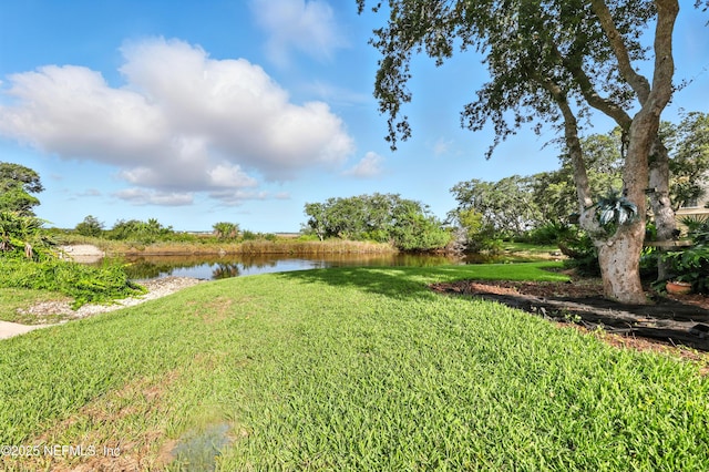 2201 Windjammer Ln, Saint Augustine, FL 32084 - view of green lawn featuring a water view