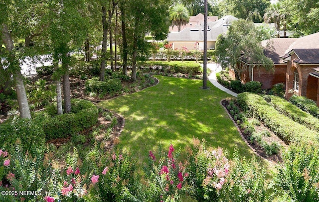 1877 Medinah Ln, Green Cove Springs, FL 32043 - view of green lawn