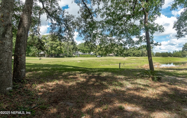 1877 Medinah Ln, Green Cove Springs, FL 32043 - view of grassy yard with a water view and view of wooded area