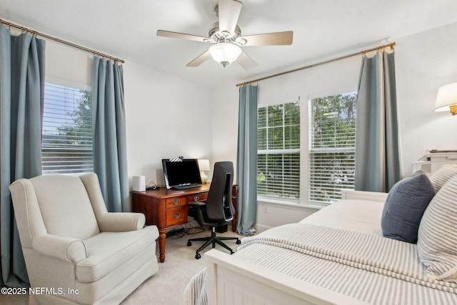 85488 Sagaponack Dr, Fernandina Beach, FL 32034 - bedroom with light carpet, multiple windows, and ceiling fan