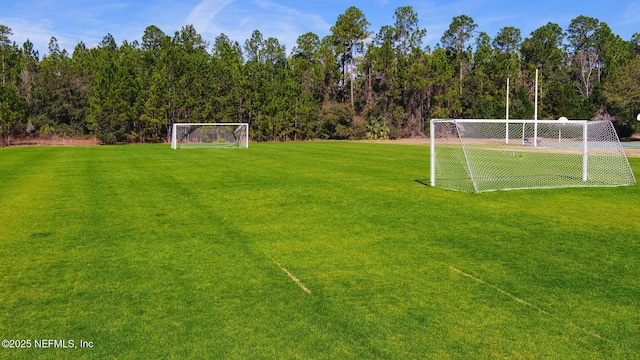 85488 Sagaponack Dr, Fernandina Beach, FL 32034 - view of yard with an area for soccer