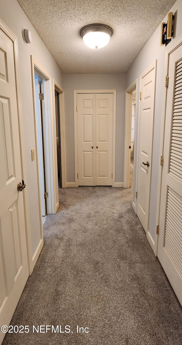 12363 Brady Place Blvd, Jacksonville, FL 32223 - photo 14