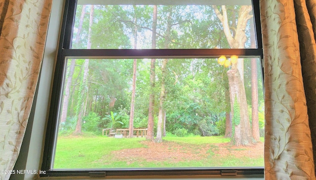 12363 Brady Place Blvd, Jacksonville, FL 32223 - photo 22