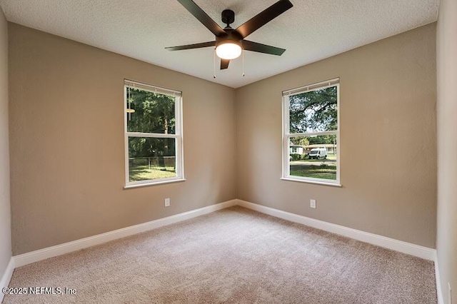 1593 W 11th St, Jacksonville, FL 32209 - photo 7