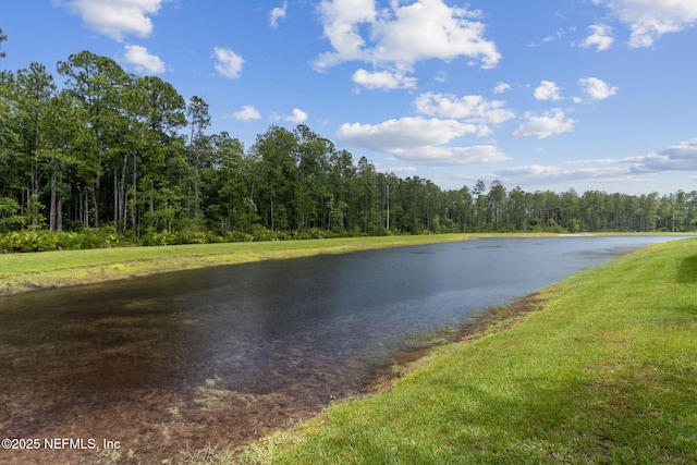 86624 Illusive Lake Ct, Yulee, FL 32097 - photo 48