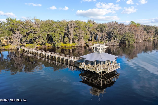 168 Riverwalk Blvd, Saint Johns, FL 32259 - photo 37