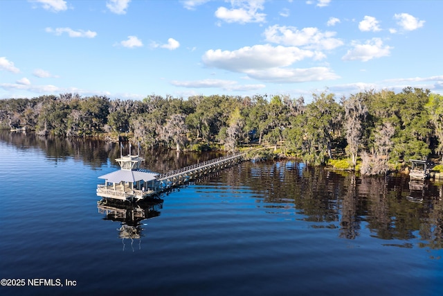 168 Riverwalk Blvd, Saint Johns, FL 32259 - photo 38