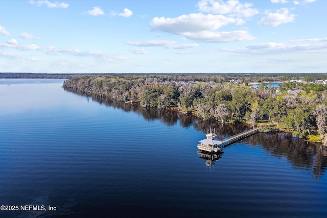 168 Riverwalk Blvd, Saint Johns, FL 32259 - photo 39