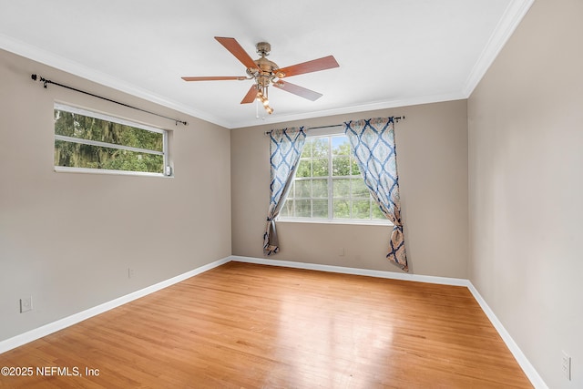 6938 Hanson Dr N, Jacksonville, FL 32210 - photo 24