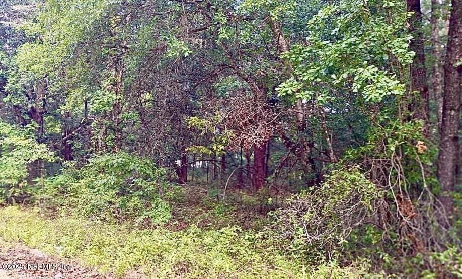 LOT13 Evans Ave, Interlachen, FL 32148