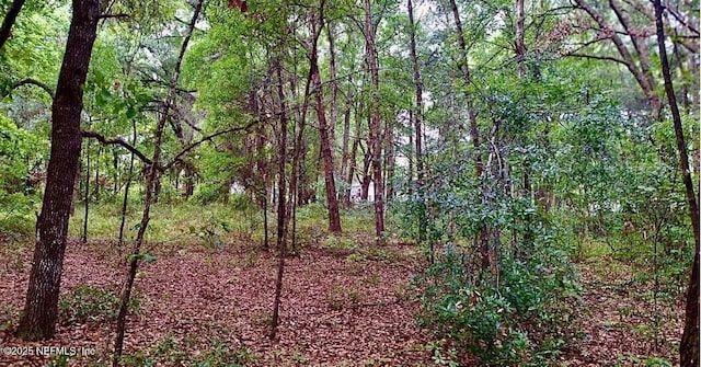 LOT13 Evans Ave, Interlachen, FL 32148