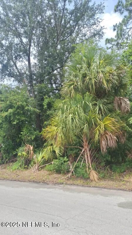 LOT12 N 18th St, Palatka, FL 32177 - photo 2