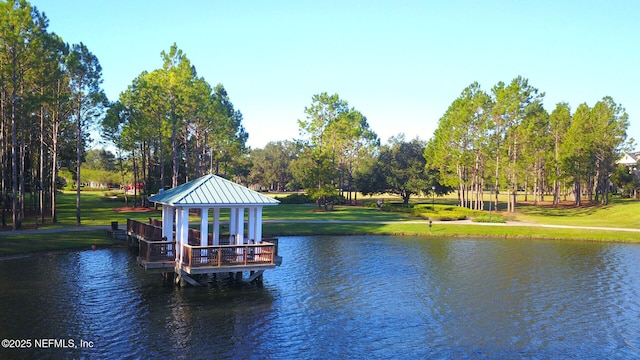 3268 Chestnut Ridge Way, Orange Park, FL 32065 - photo 20