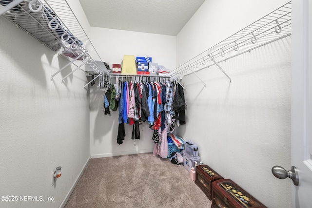 3299 Hidden Meadows Ct, Green Cove Springs, FL 32043 - walk in closet featuring carpet flooring