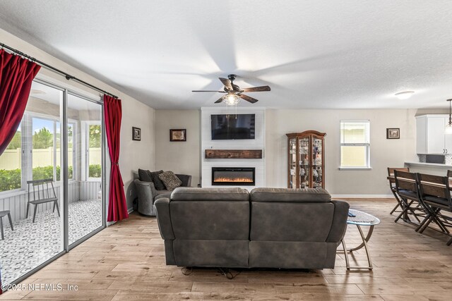 3299 Hidden Meadows Ct, Green Cove Springs, FL 32043 - living area with ceiling fan, a fireplace, light wood-style flooring, and healthy amount of natural light