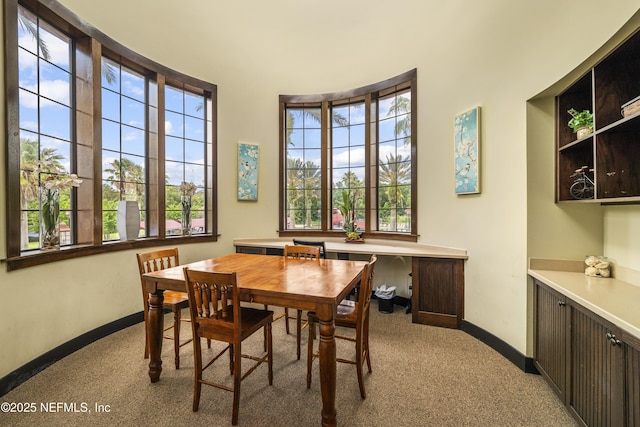 3299 Hidden Meadows Ct, Green Cove Springs, FL 32043 - dining space with light carpet and healthy amount of natural light