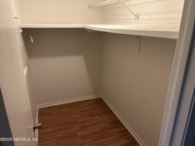306 Kettering Ter, Orange Park, FL 32073 - photo 7