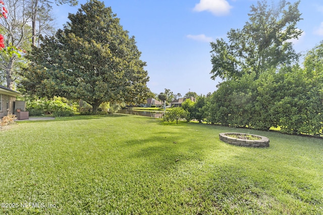 1565 Royal Fern Ln, Fleming Island, FL 32003 - view of yard