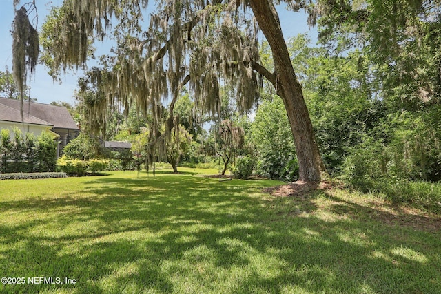 12844 Bay Plantation Dr, Jacksonville, FL 32223 - photo 89