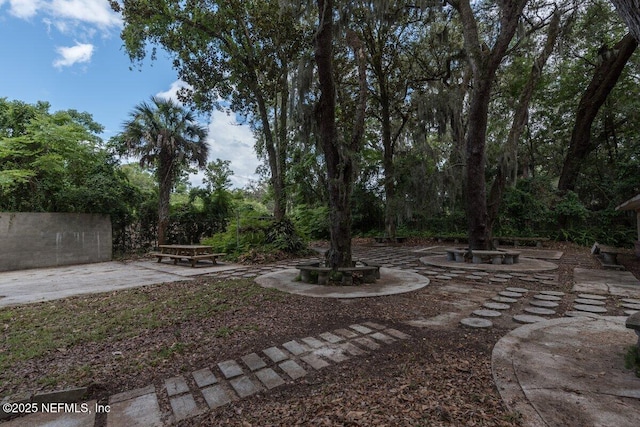 2523 Elbow Rd, Orange Park, FL 32073 - photo 41