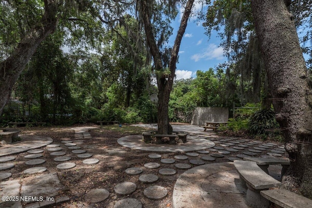 2523 Elbow Rd, Orange Park, FL 32073 - photo 42