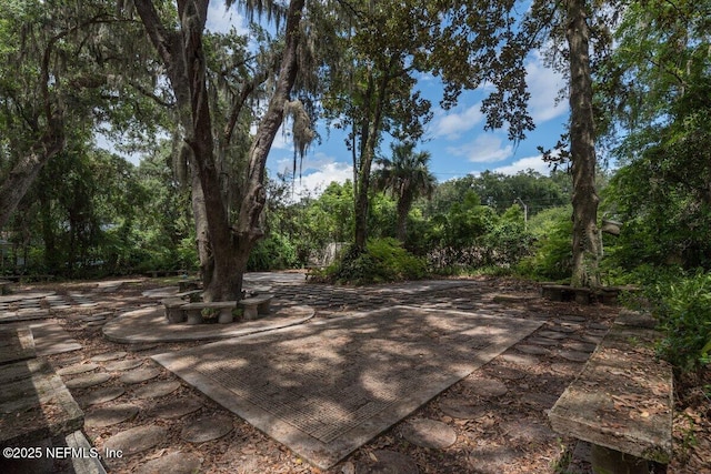 2523 Elbow Rd, Orange Park, FL 32073 - photo 43