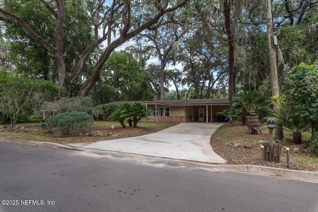 2523 Elbow Rd, Orange Park, FL 32073 - photo 5