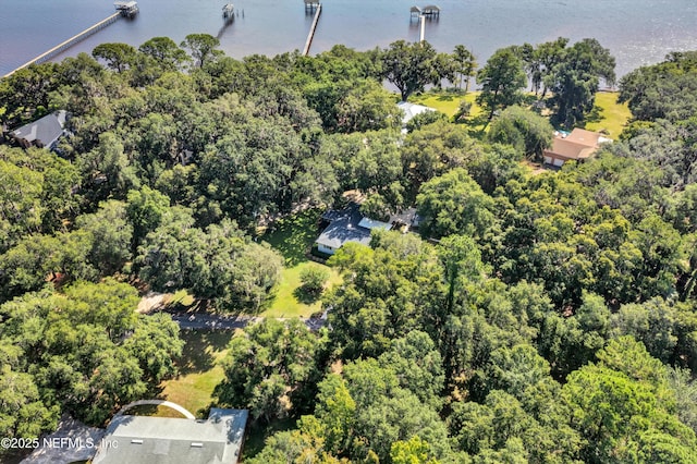 3079 Anderson Rd, Green Cove Springs, FL 32043 - photo 59