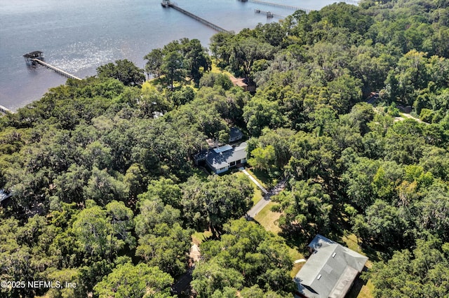 3079 Anderson Rd, Green Cove Springs, FL 32043 - photo 61