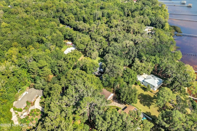 3079 Anderson Rd, Green Cove Springs, FL 32043 - photo 63